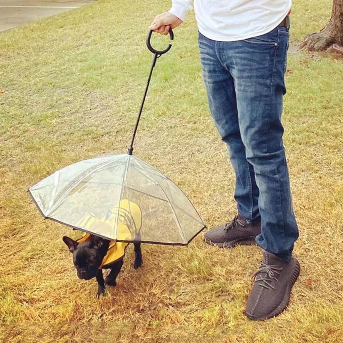ATUBAN Dog Umbrella with Leash for Small Pets