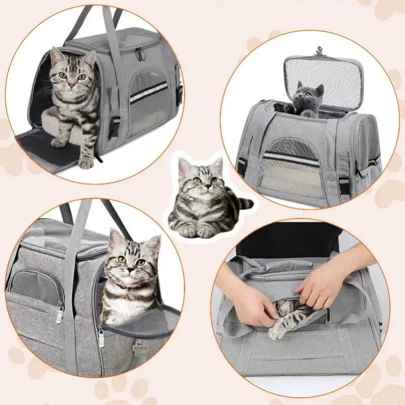 soft sided Portable pet carrier bag