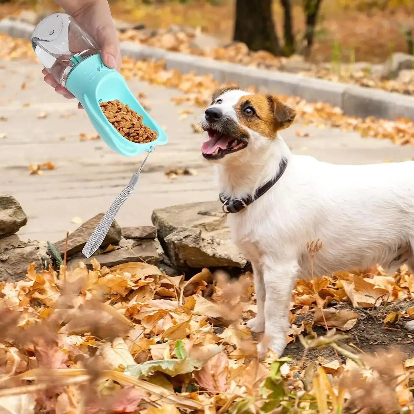 Pet Water Bottle Dispenser with Detachable Food Container