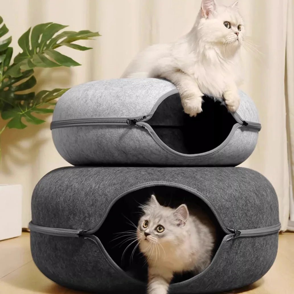 Interactive Donut Cat Bed & Tunnel: Kitten Sports Equipment & Toys Combo