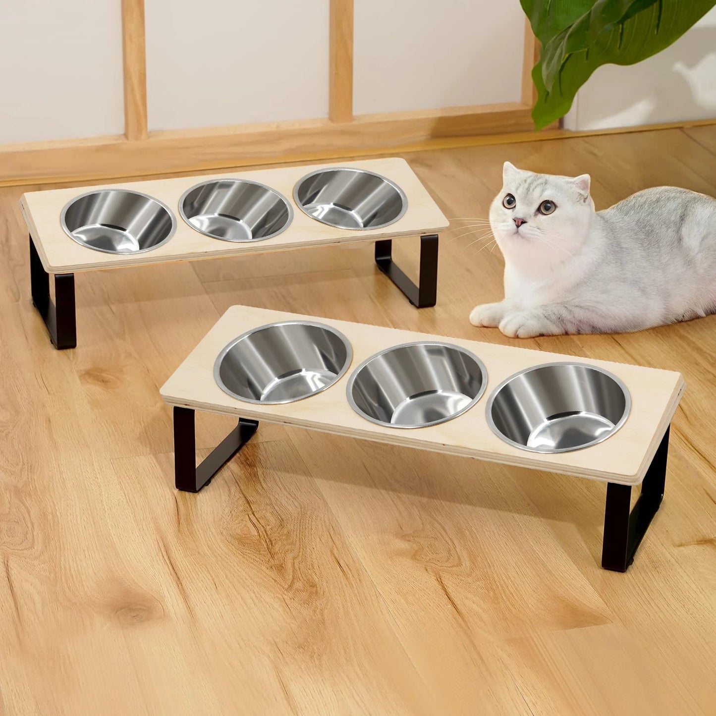 15° Tilted Elevated Cat Bowls Stand with Stainless Steel Bowls