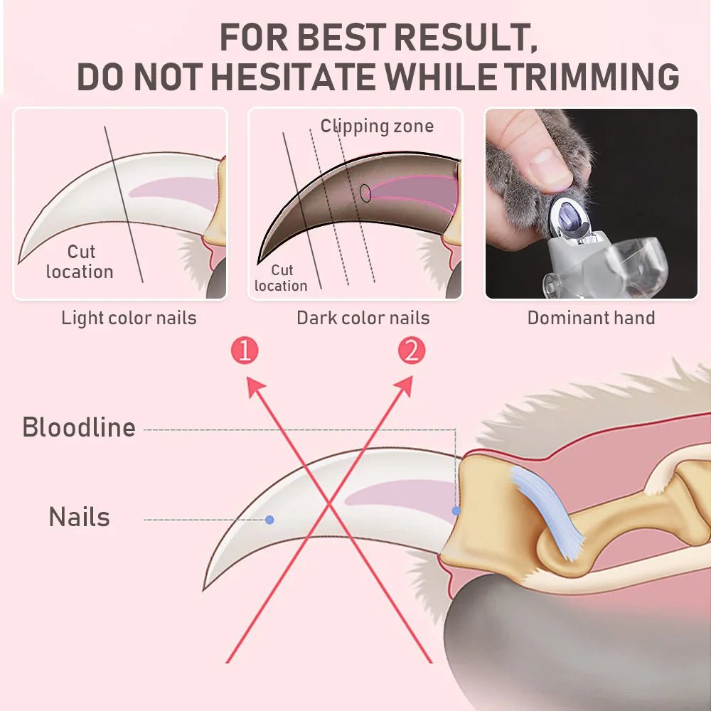 LED Pet Nail Clipper – Precision Dog & Cat Nail Trimmer with Magnifier