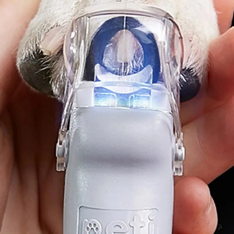 LED Pet Nail Clipper – Precision Dog & Cat Nail Trimmer with Magnifier