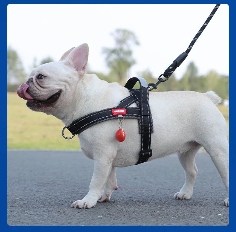 Adjustable Dog Harness – No-Pull Saddle Design for Small, Medium & Large Dogs