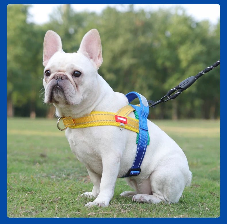 Adjustable Dog Harness – No-Pull Saddle Design for Small, Medium & Large Dogs