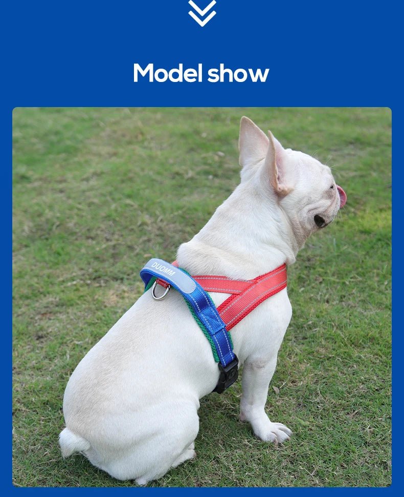 Adjustable Dog Harness – No-Pull Saddle Design for Small, Medium & Large Dogs
