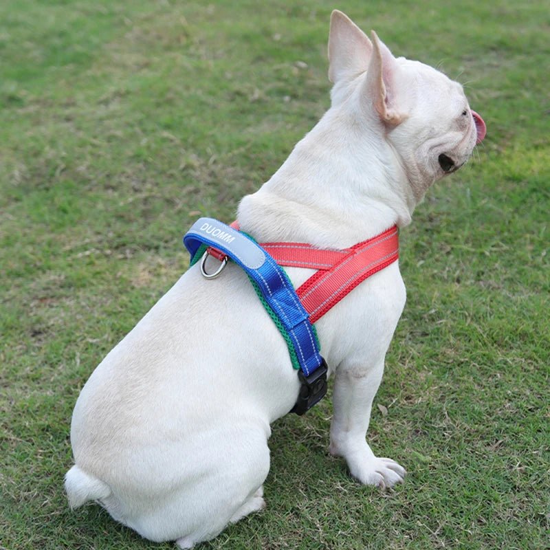 Adjustable Dog Harness – No-Pull Saddle Design for Small, Medium & Large Dogs
