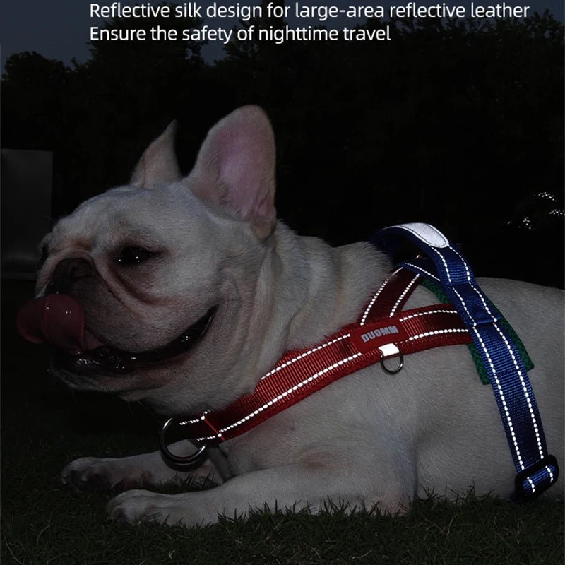 Adjustable Dog Harness – No-Pull Saddle Design for Small, Medium & Large Dogs