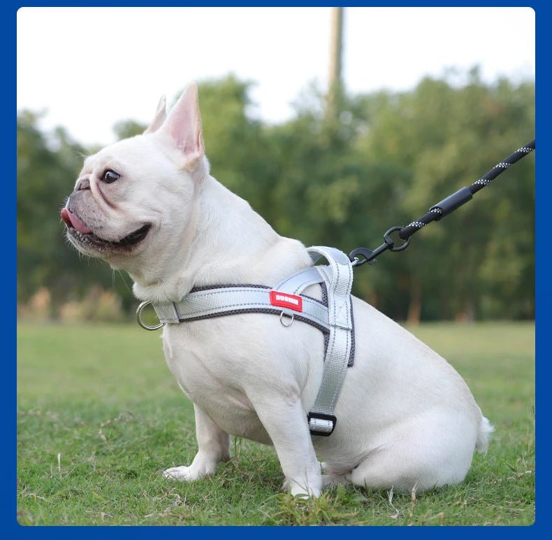 Adjustable Dog Harness – No-Pull Saddle Design for Small, Medium & Large Dogs