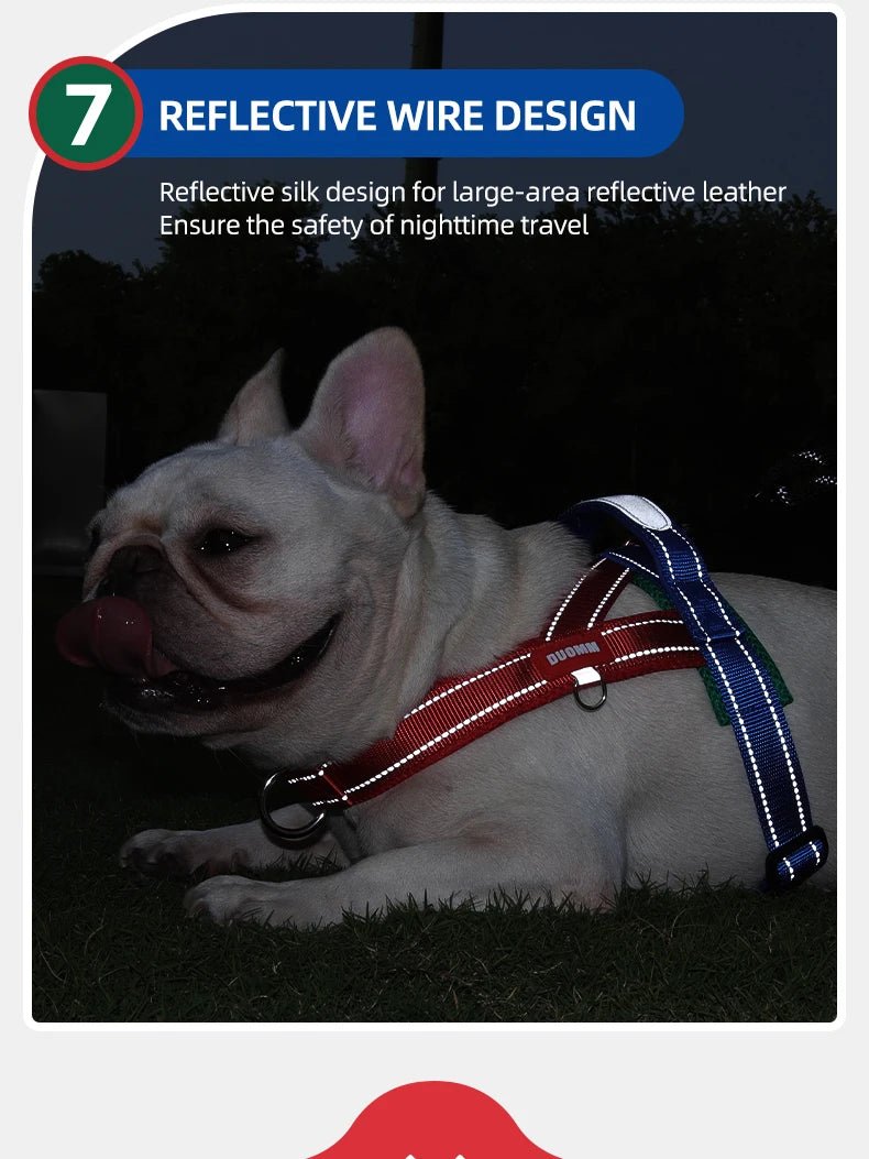 Adjustable Dog Harness – No-Pull Saddle Design for Small, Medium & Large Dogs