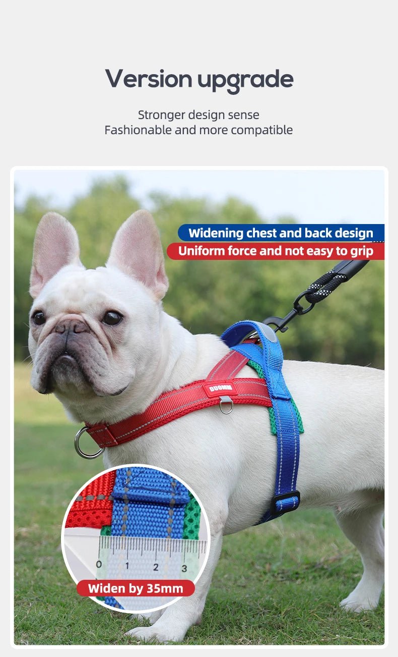Adjustable Dog Harness – No-Pull Saddle Design for Small, Medium & Large Dogs
