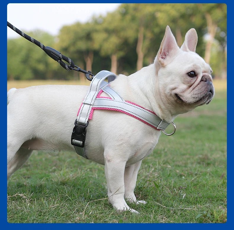 Adjustable Dog Harness – No-Pull Saddle Design for Small, Medium & Large Dogs