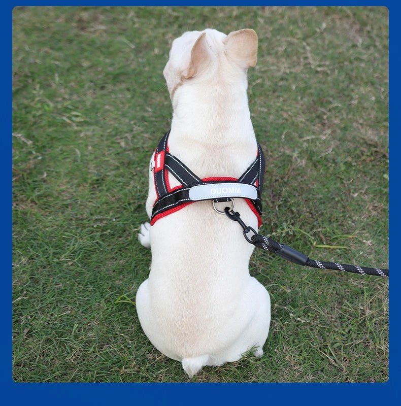 Adjustable Dog Harness – No-Pull Saddle Design for Small, Medium & Large Dogs