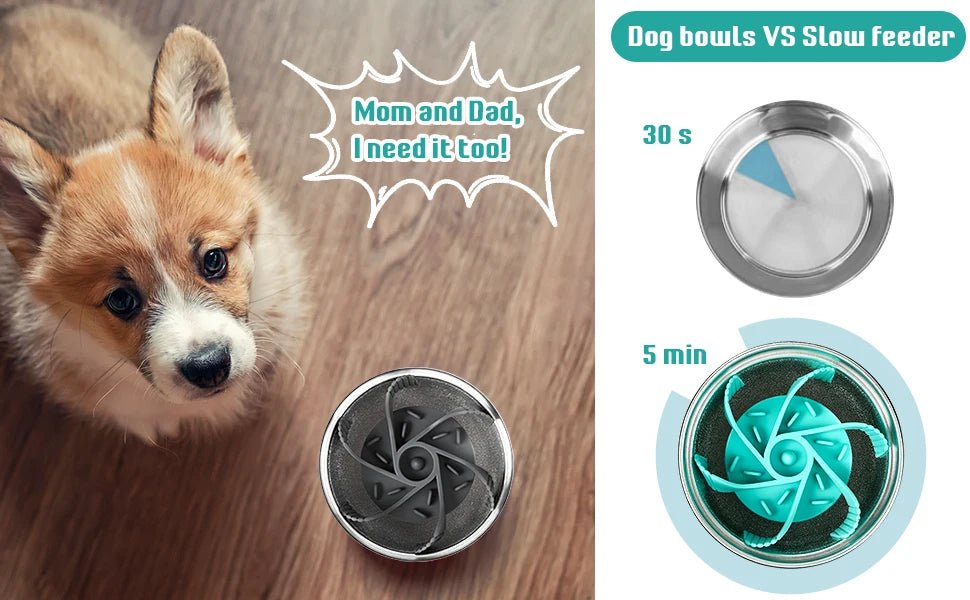 Slow Feeder Pet Bowl – Anti-Choking Design with Suction Base for Dogs & Cats