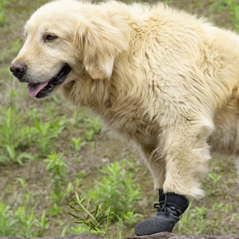 Breathable Summer Dog Shoes - Anti-slip Small Puppy Footwear