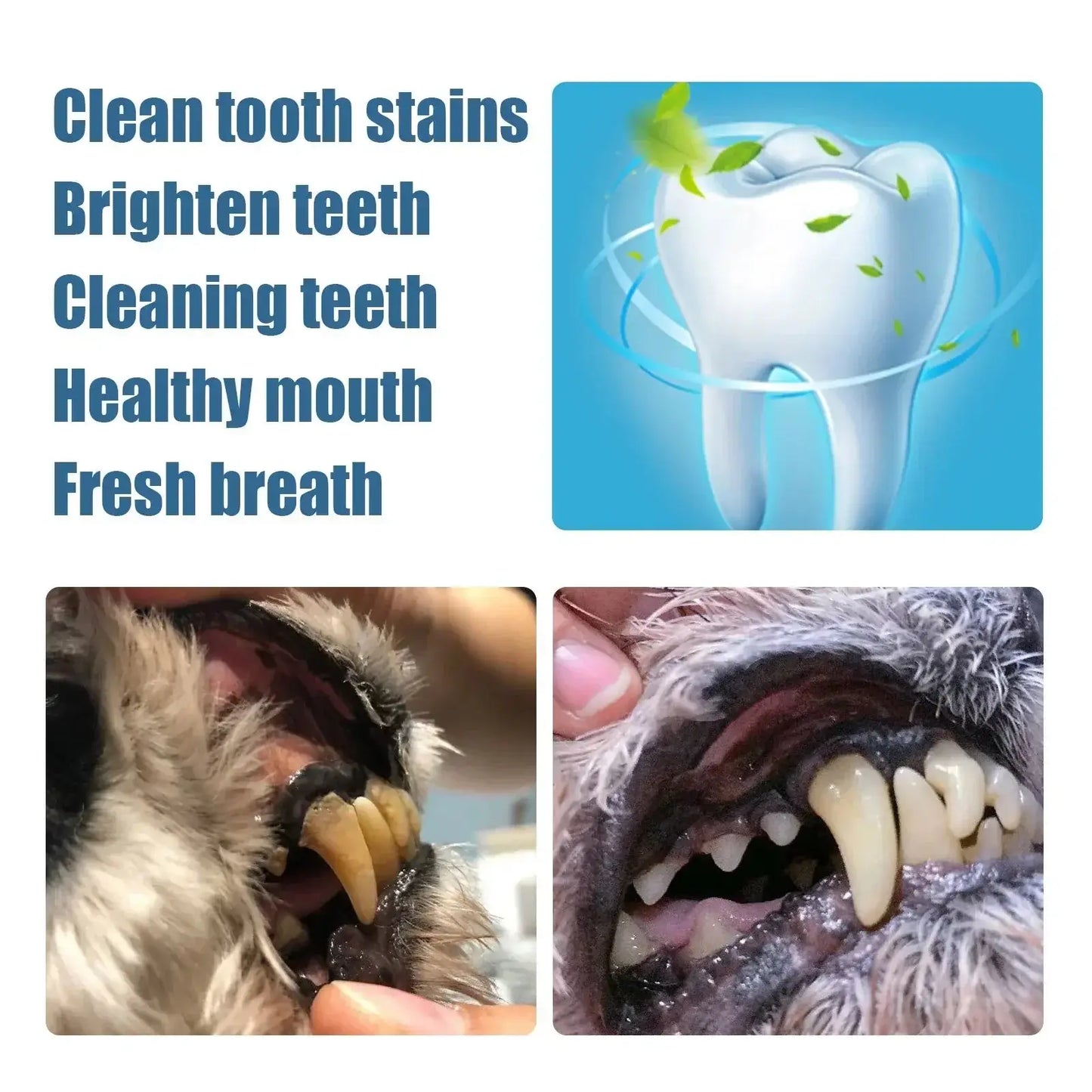 Pets Teeth Cleaning Kit – Toothbrush, Tartar Remover