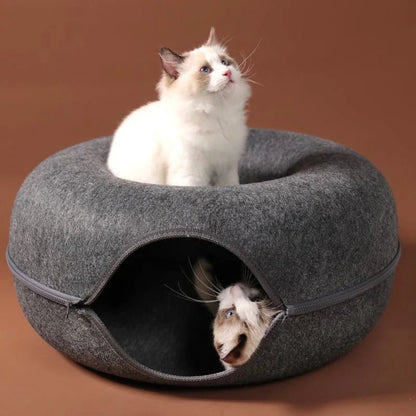 Interactive Donut Cat Bed & Tunnel: Kitten Sports Equipment & Toys Combo