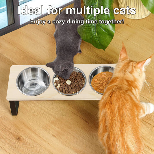 15° Tilted Elevated Cat Bowls Stand with Stainless Steel Bowls