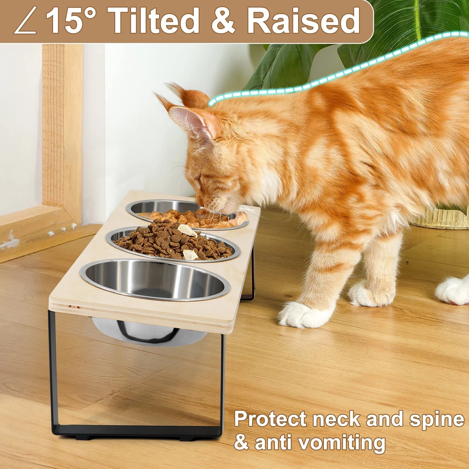 15° Tilted Elevated Cat Bowls Stand with Stainless Steel Bowls