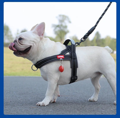 Adjustable Dog Harness – No-Pull Saddle Design for Small, Medium & Large Dogs