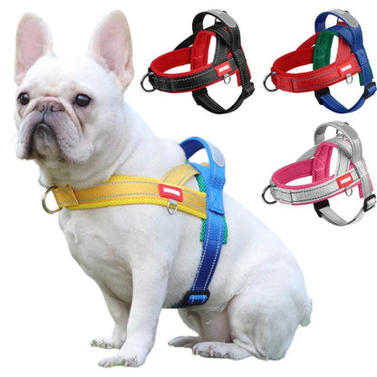 Adjustable Dog Harness – No-Pull Saddle Design for Small, Medium & Large Dogs