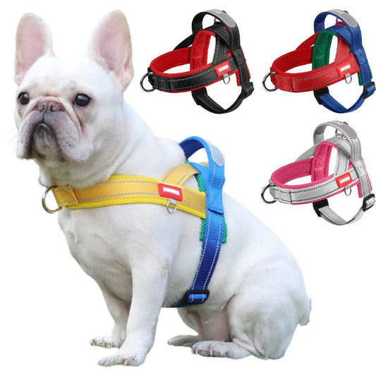 Adjustable Dog Harness – No-Pull Saddle Design for Small, Medium & Large Dogs