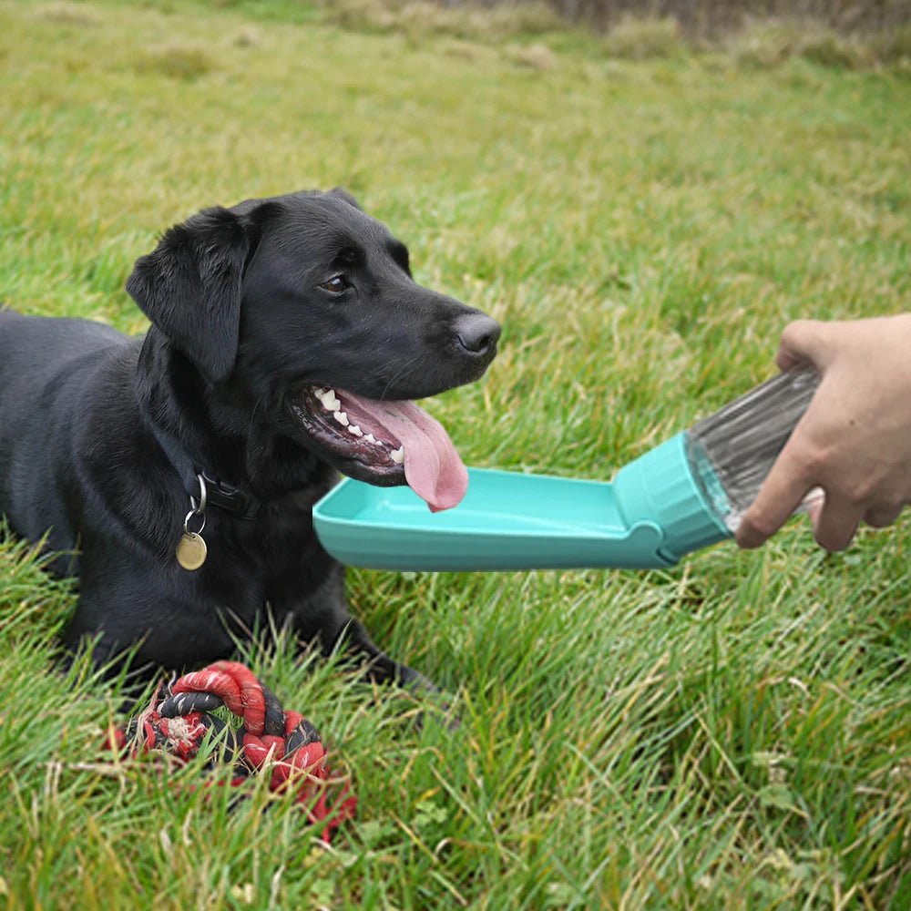 Leak-Proof Outdoor Dog Water Bottle with High Capacity Drinking Bowl