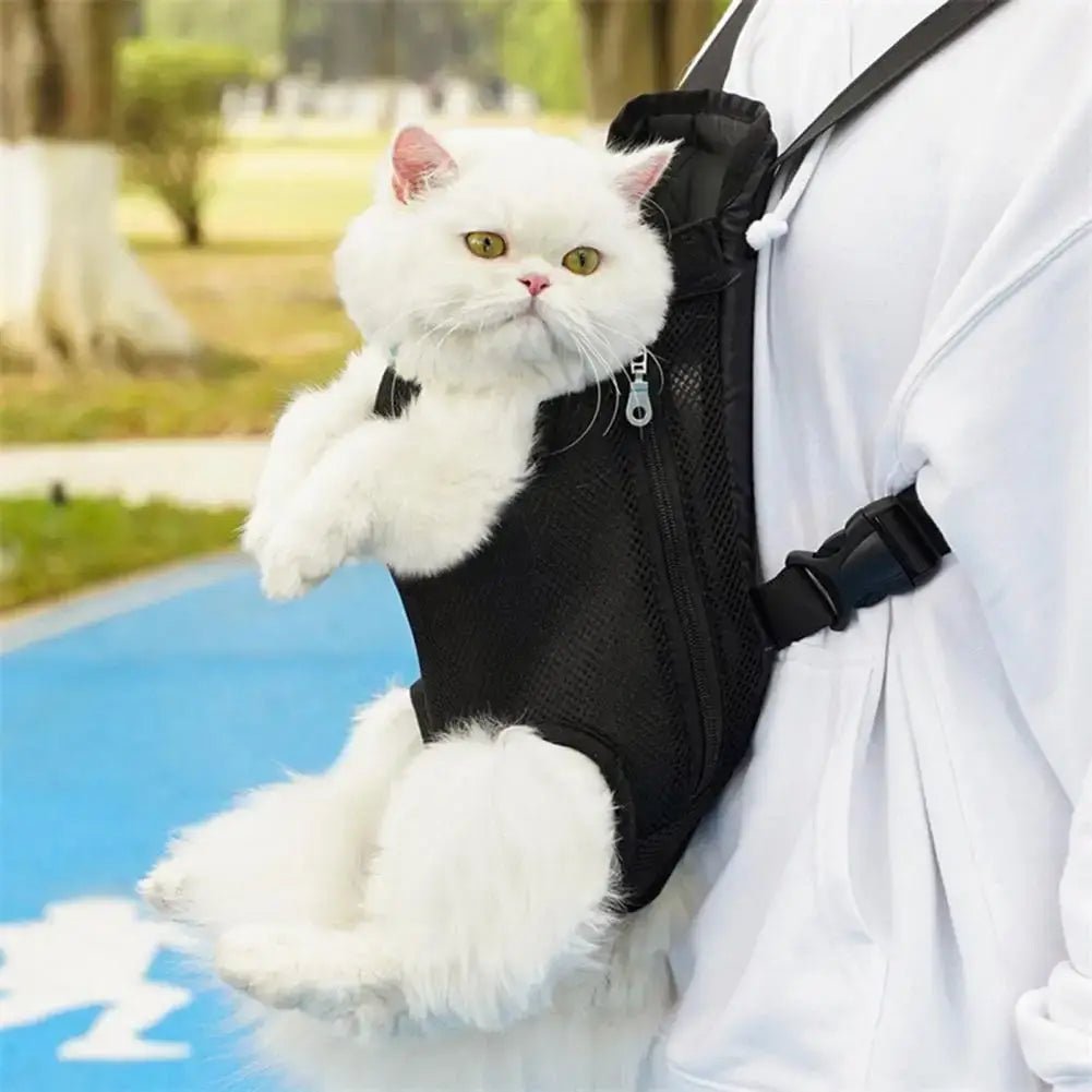 Pet carrier backpack for small dogs