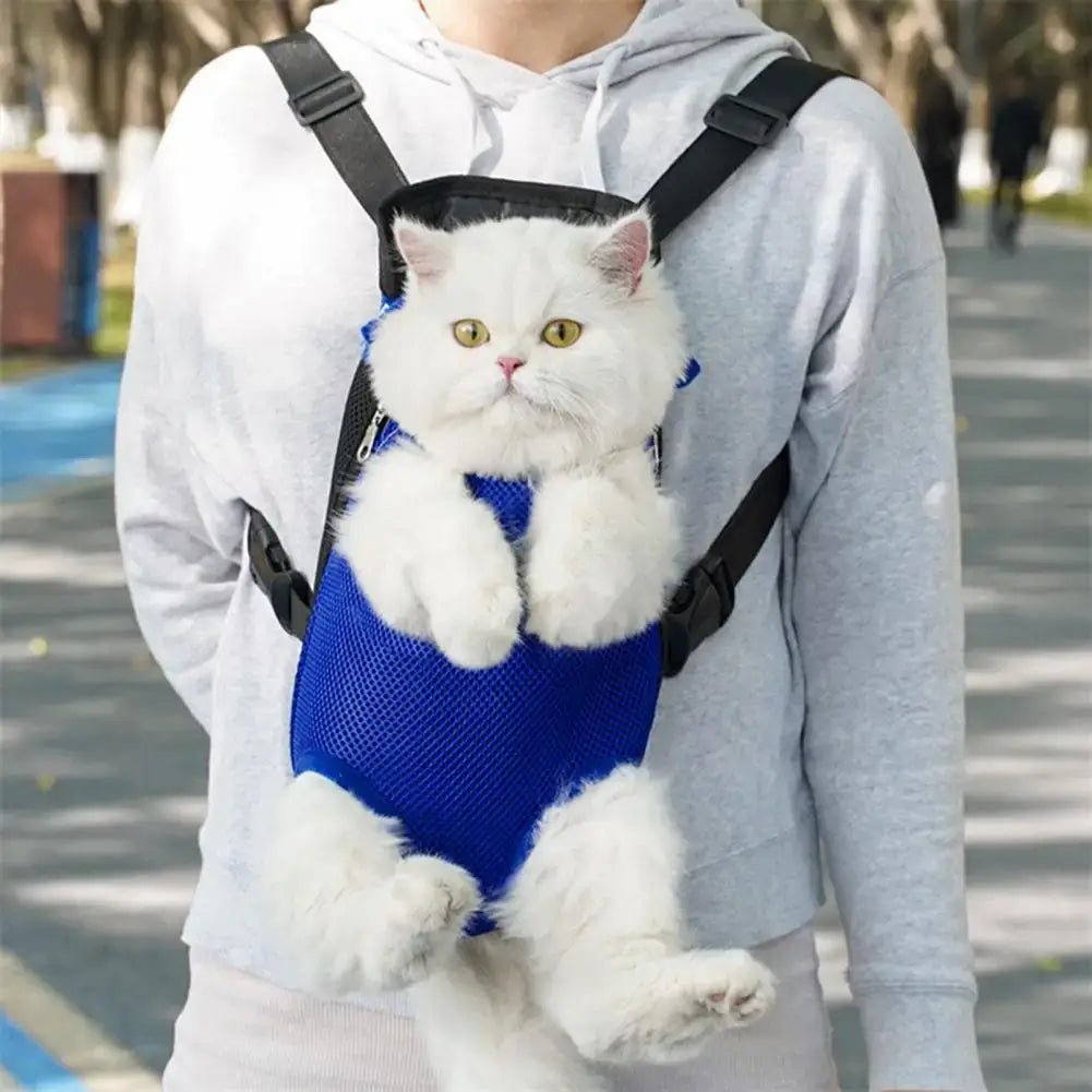 Pet carrier backpack for small dogs