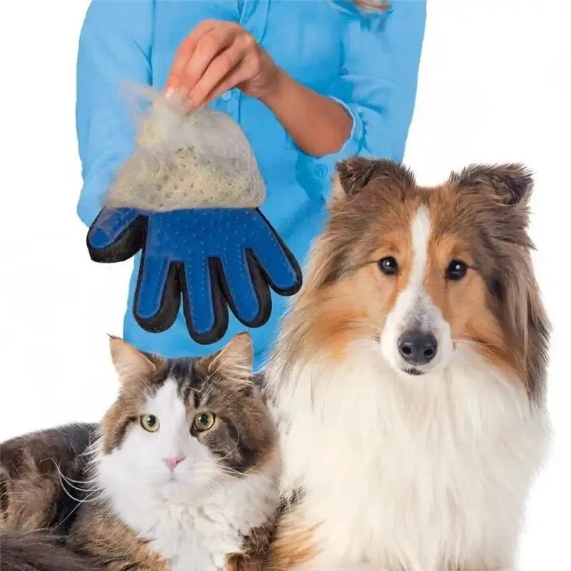 Ultimate Pet Grooming Gloves: Dog & Cat Grooming Accessories