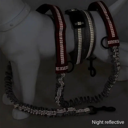 Retractable Hands Free Dog Leash