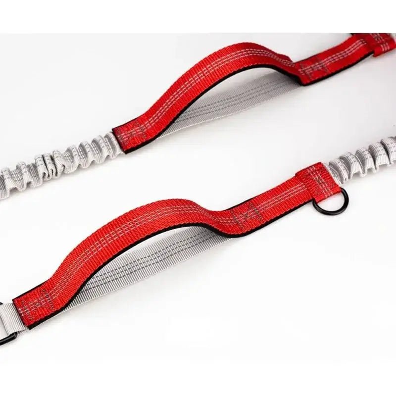 Retractable Hands Free Dog Leash
