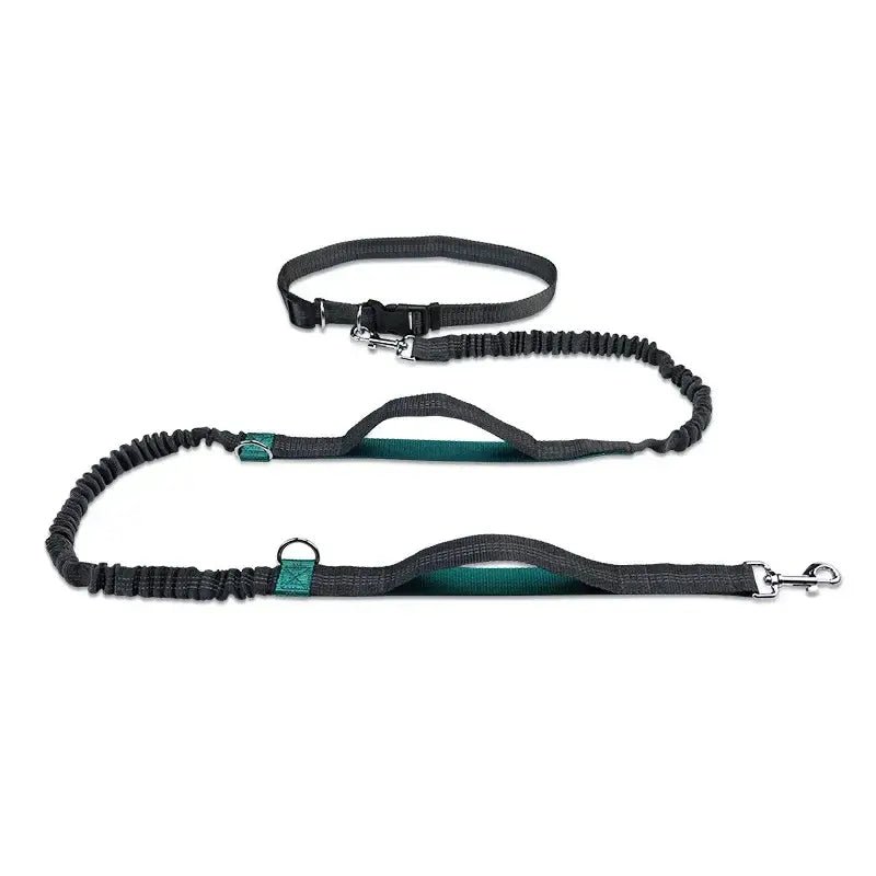 Retractable Hands Free Dog Leash