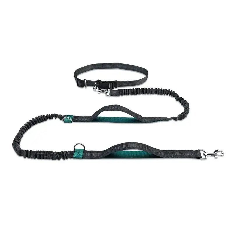 Retractable Hands Free Dog Leash