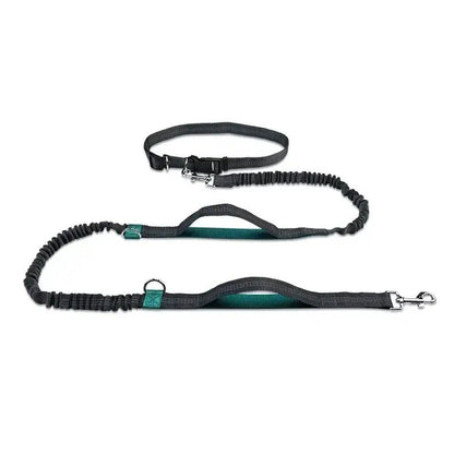 Retractable Hands Free Dog Leash
