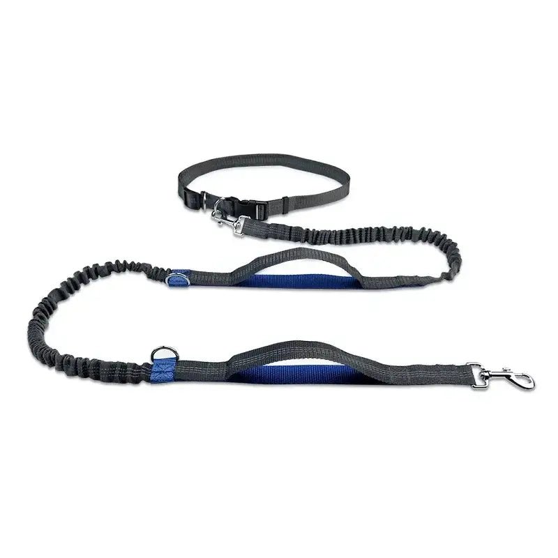 Retractable Hands Free Dog Leash