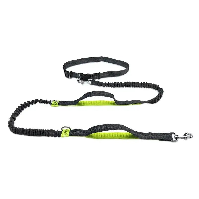 Retractable Hands Free Dog Leash