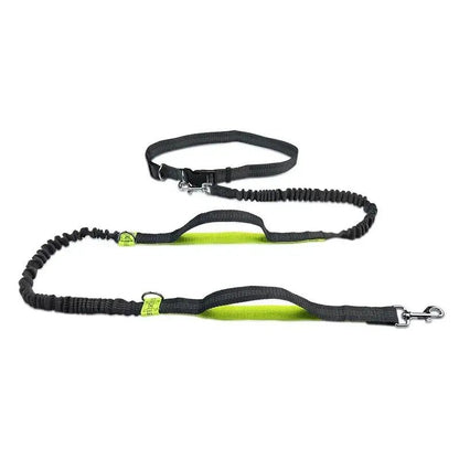 Retractable Hands Free Dog Leash