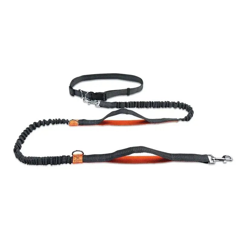 Retractable Hands Free Dog Leash
