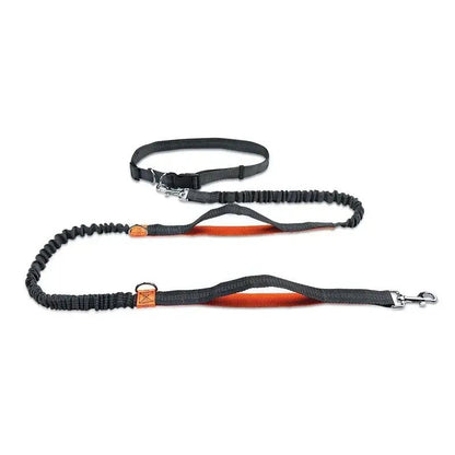 Retractable Hands Free Dog Leash