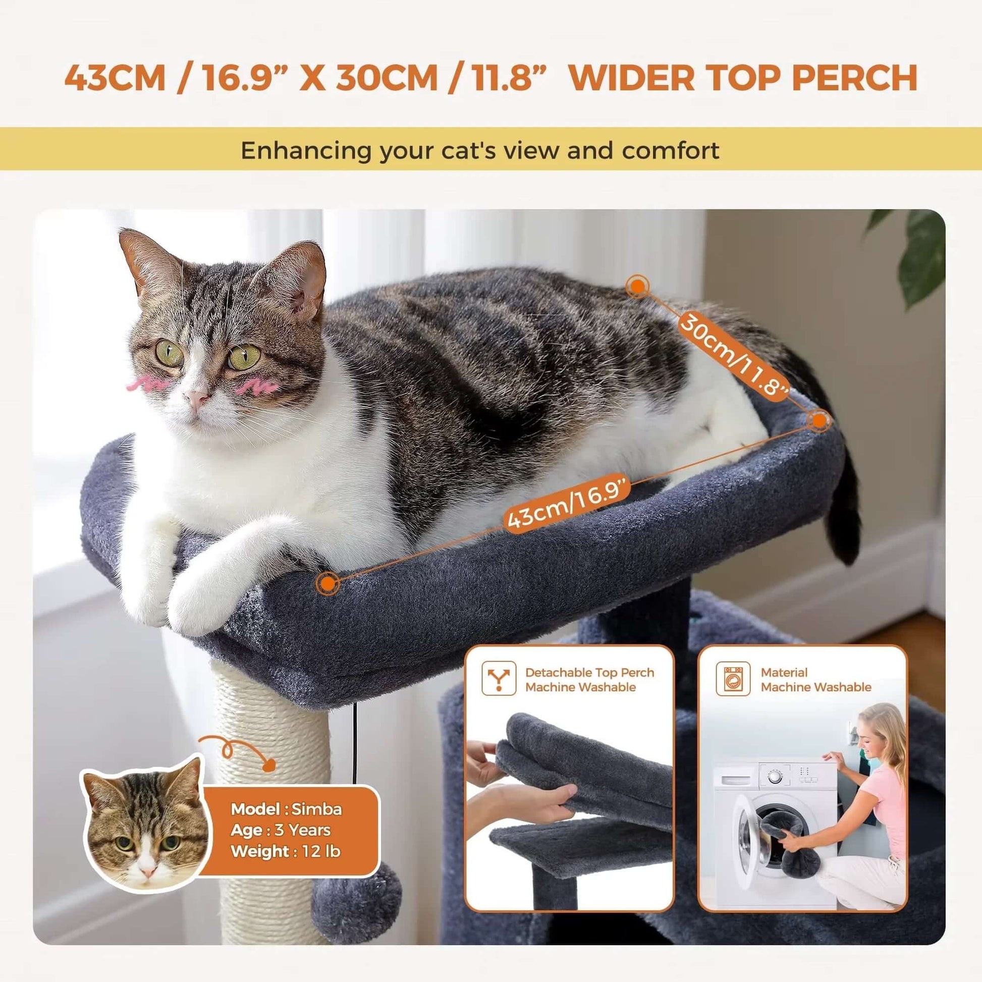 Pet Cat Condo Small Tree for Cats - Stylish Pet Accessory
