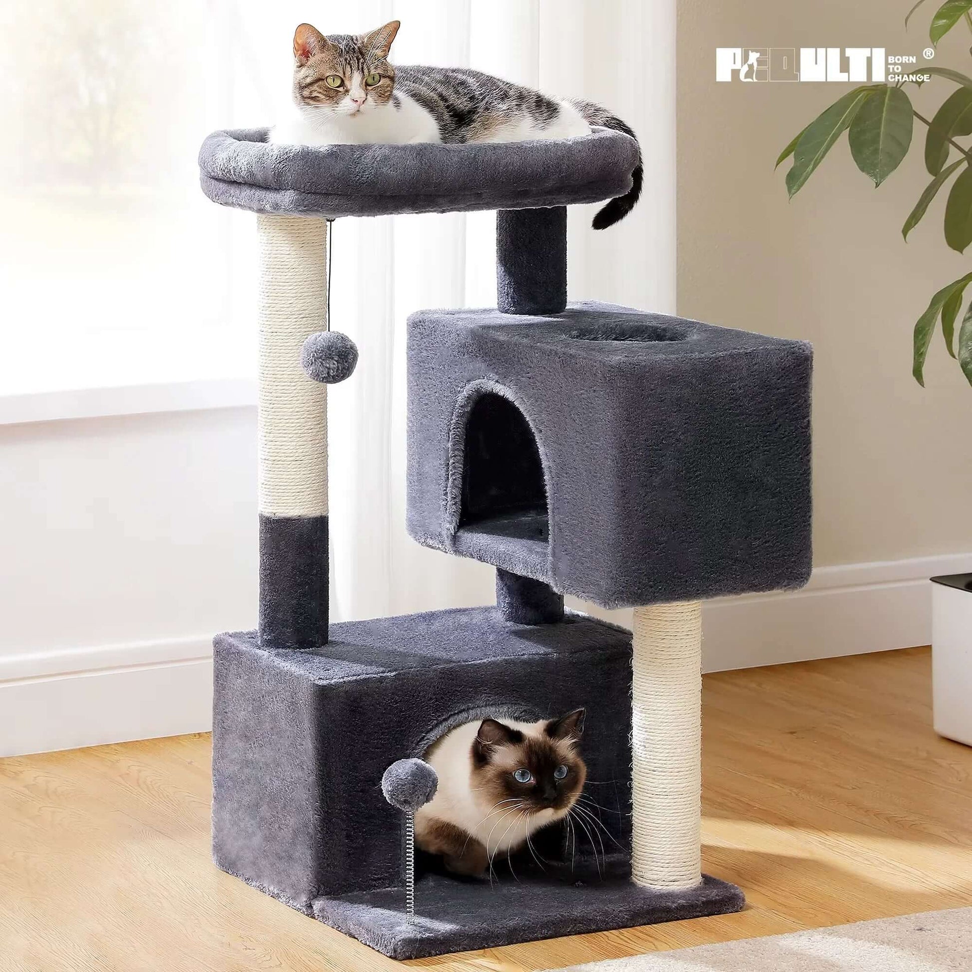 Pet Cat Condo Small Tree for Cats - Stylish Pet Accessory