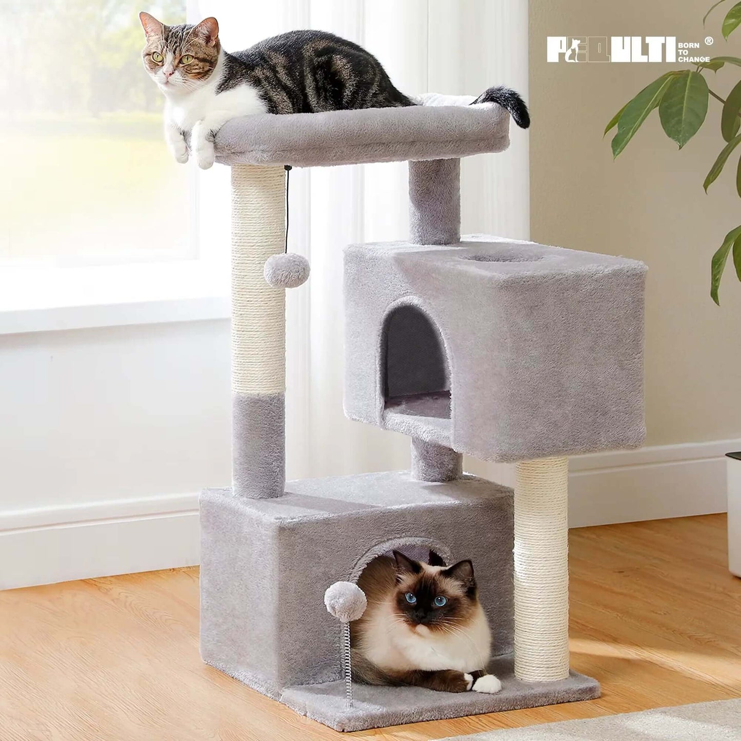 Pet Cat Condo Small Tree for Cats - Stylish Pet Accessory