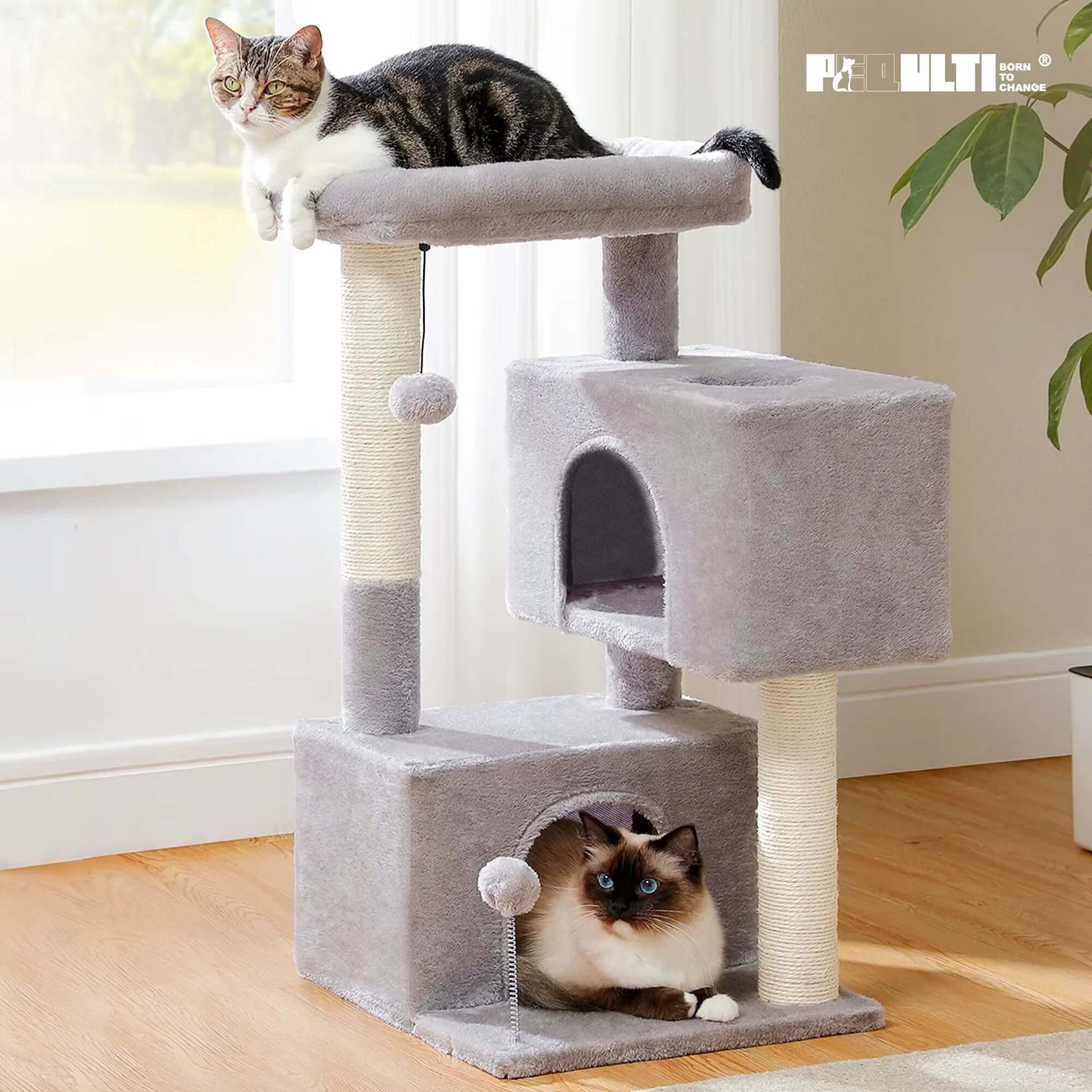Pet Cat Condo Small Tree for Cats - Stylish Pet Accessory