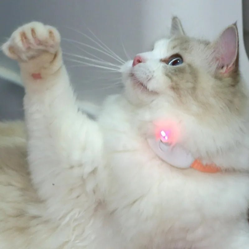Smart Rechargeable Laser Cat Toy Collar