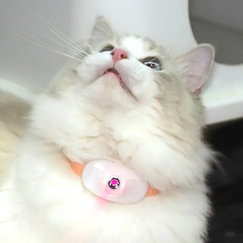 Smart Rechargeable Laser Cat Toy Collar