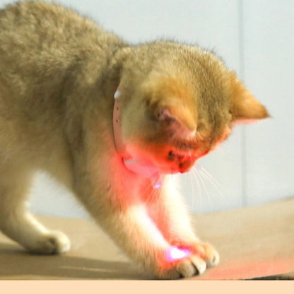 Smart Rechargeable Laser Cat Toy Collar