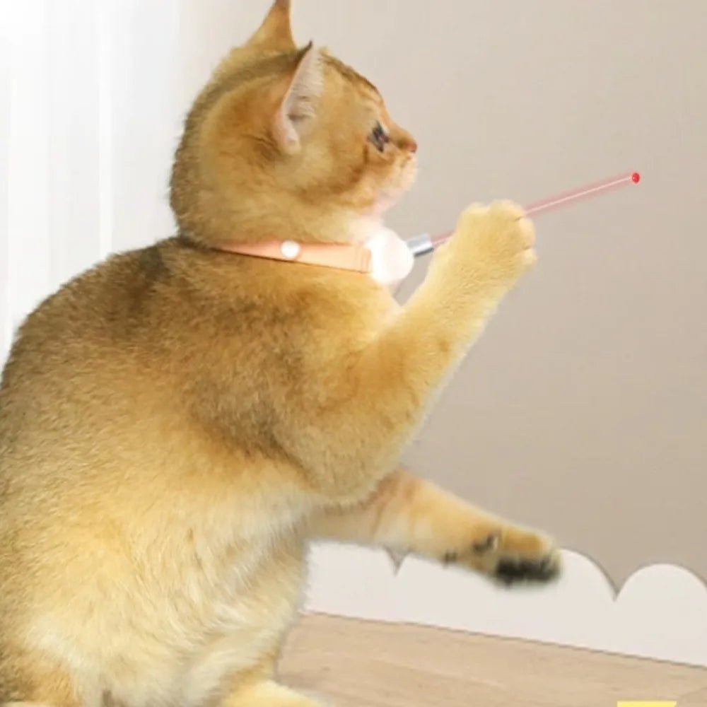 Smart Rechargeable Laser Cat Toy Collar