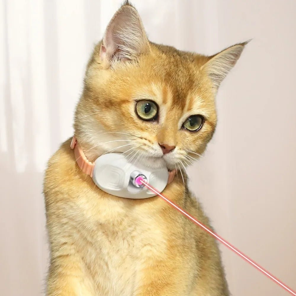 Smart Rechargeable Laser Cat Toy Collar