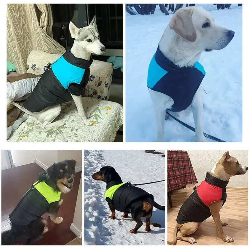 Cosy Canine Cold Weather Vests - Winter Dog Coats & Warm Pet Jackets
